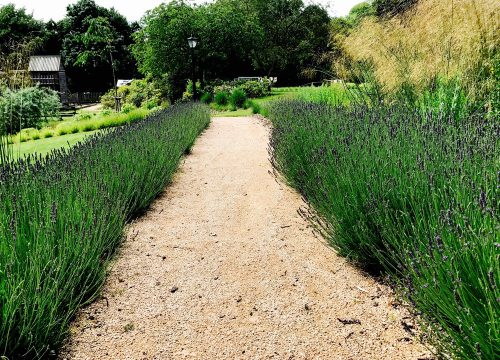 Country Garden Design